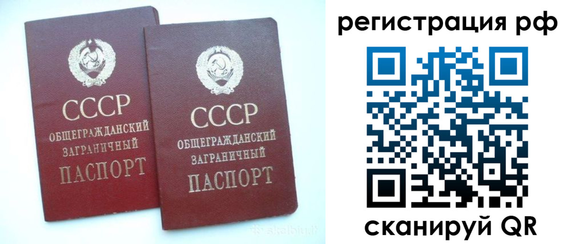 временная регистрация госуслуги в Елизово